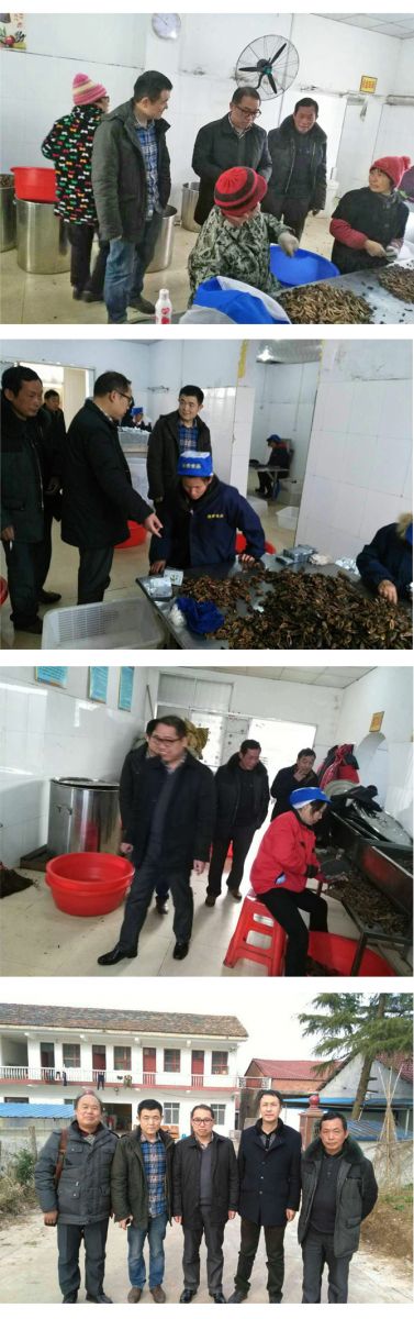 湖北山樹(shù)風(fēng)建材科技有限公司